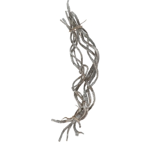 Dried articles Liane bunch 50cm x8