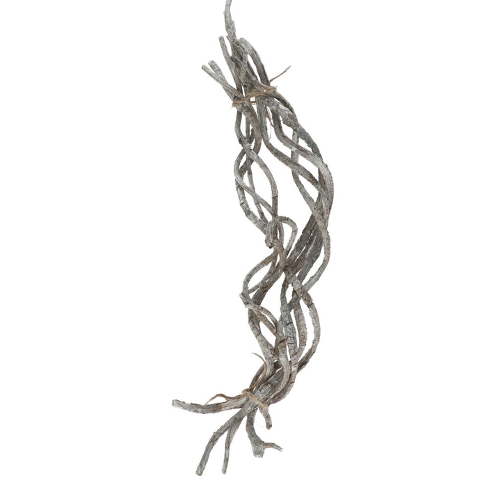 <h4>Dried articles Liane bunch 50cm x8</h4>