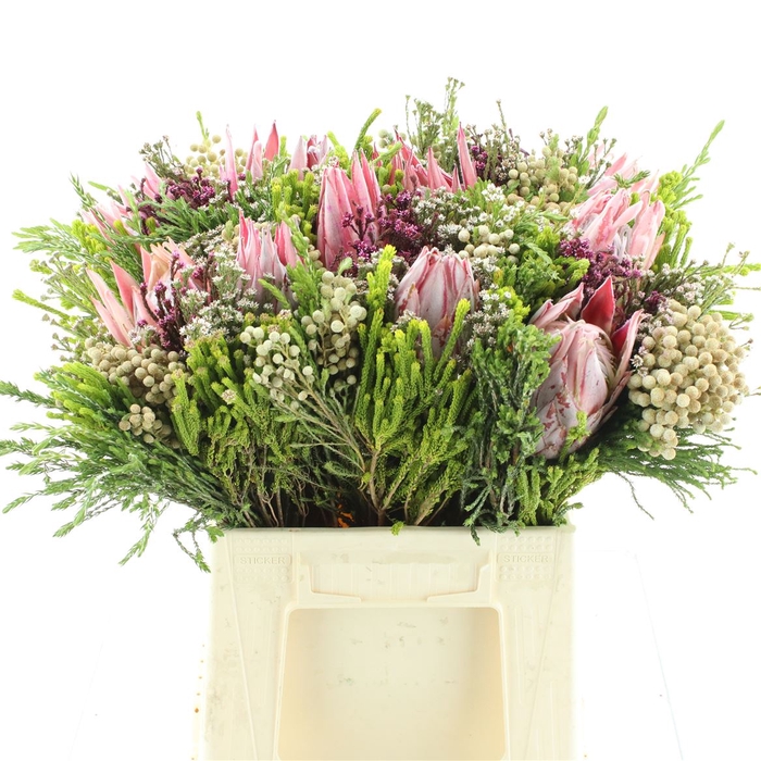 <h4>Kaaps Bouquet Cynaroides 2 Flower</h4>