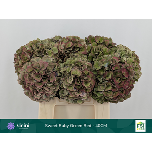 Hydr Sweet Ruby Green Red 40 cm Vicini