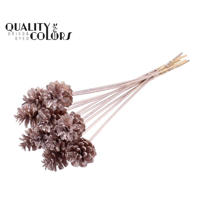 <h4>Pine cone 5-7cm on stem Champagne + Glitter</h4>