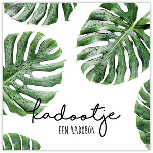 Kadobon 'Any Time' à 12 St. Kadootj