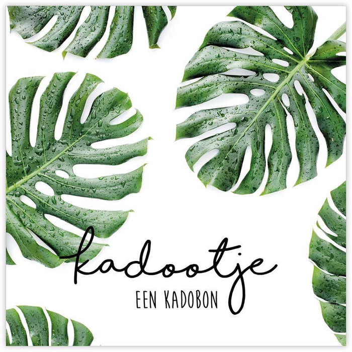 <h4>Kadobon 'Any Time' à 12 St. Kadootj</h4>