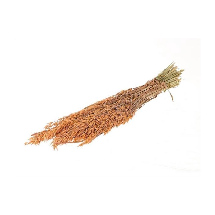 <h4>Bunch Avena Frosted Sleeved L-60</h4>
