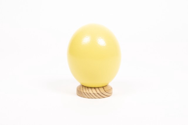 Egg ostrich paint yellow
