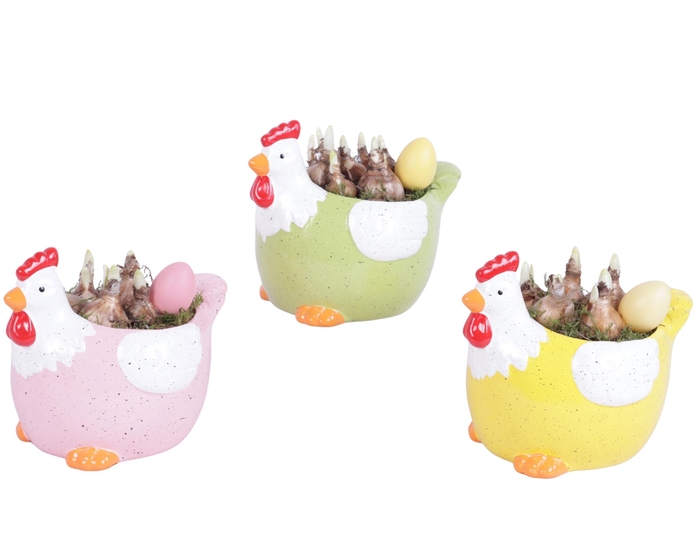 <h4>Easter Arr. Narcis Ceramic Colorful Chicken Mix Ø17cm</h4>