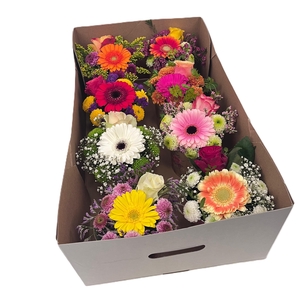 Arr. Bloom box