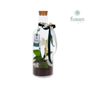 Green Bottle Fles Medium met Kerst arrangement