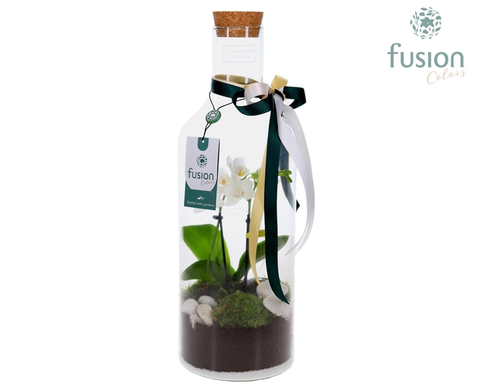 <h4>Green Bottle Fles Medium met arrangement</h4>