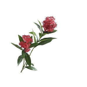 Skimmia Spray Red