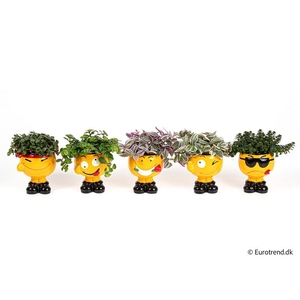 E 4433 gangster smiley