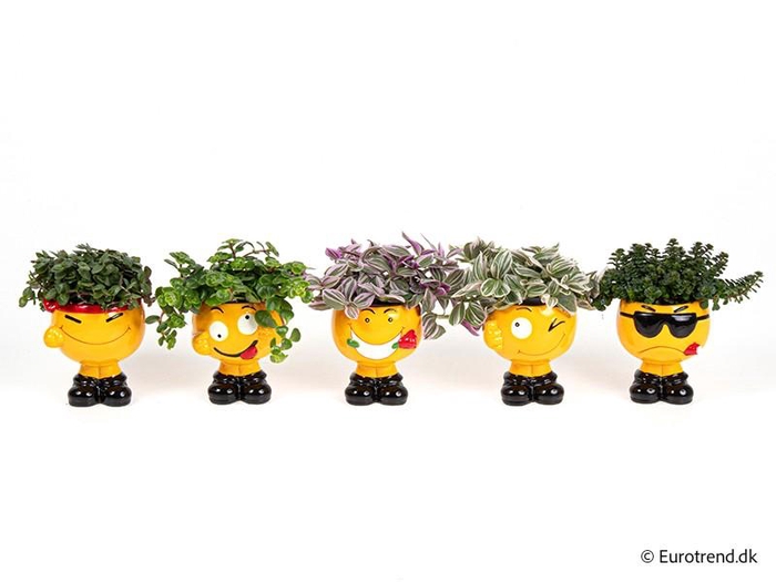 <h4>E 4433 gangster smiley</h4>