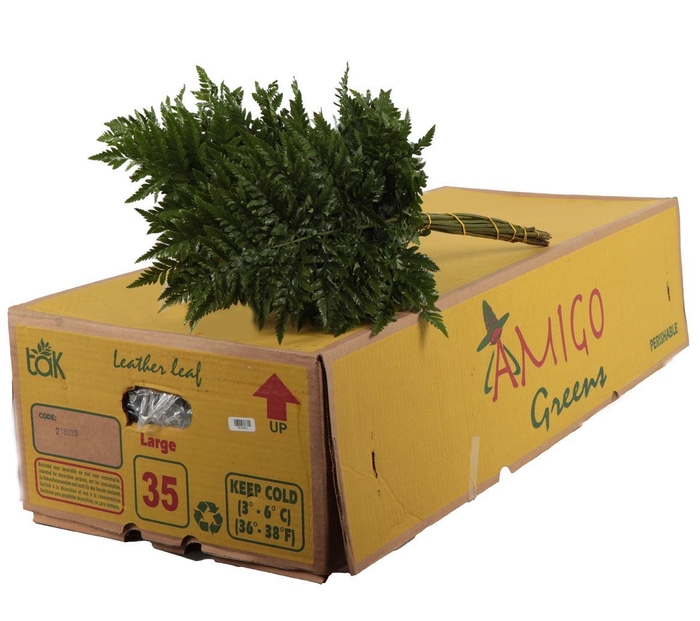 <h4>Lederv. Large</h4>