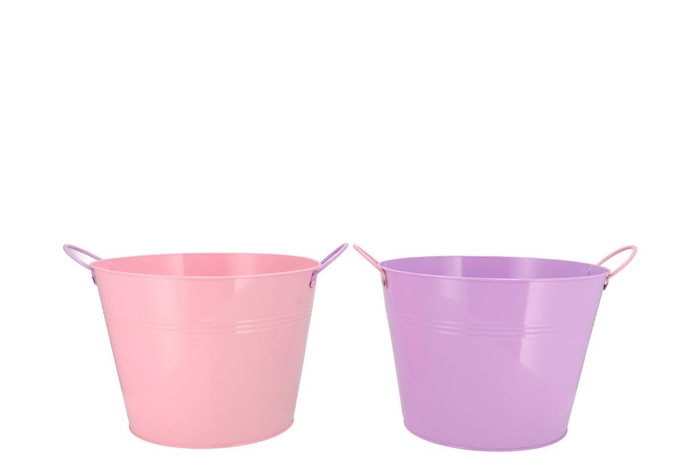 <h4>Zinc Basic Lila/pink Ears Bucket 23x18cm</h4>