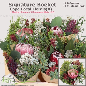 PROTEA PER BOS