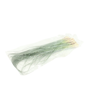 Beargrass Sleeved X5
