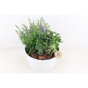 arr4 Outdoor PL - Zink schaal wit