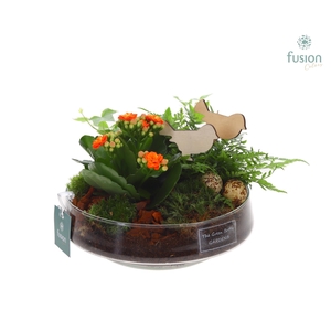 Green Bottle Iris Medium Pasen met arrangement