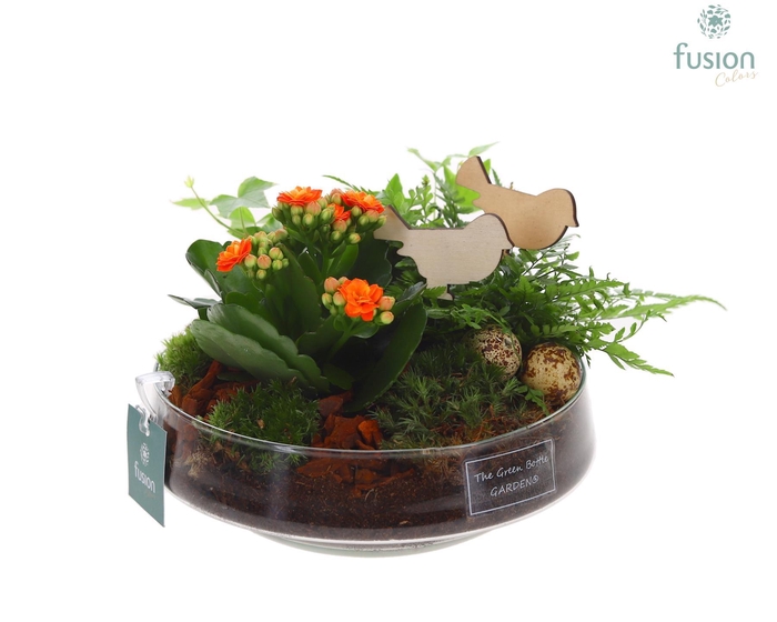 <h4>Green Bottle Iris Medium Pasen met arrangement</h4>