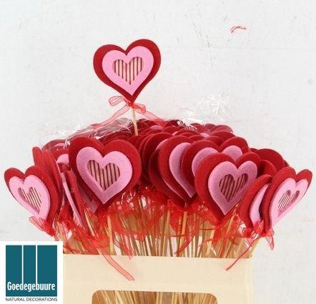 <h4>HARTJE OP STOK H%</h4>