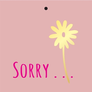 Labels Card 7*7cm x20 Sorry