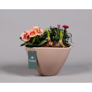 Keramiek pot met arrangement voorjaar