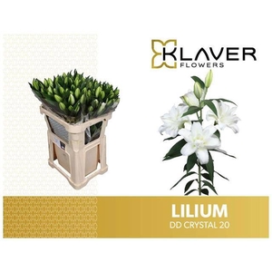 LI OR DU OVERIG