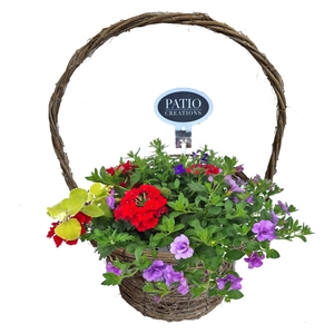 Arr.   Perkplanten L%