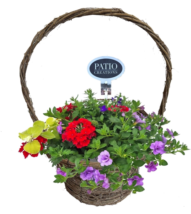 <h4>Arr.   Perkplanten L%</h4>