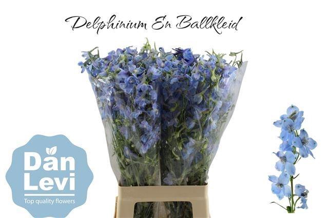 <h4>DELPH EN BALLKLEID</h4>