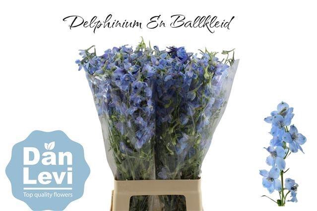 <h4>DELPH EN BALLKLEID</h4>