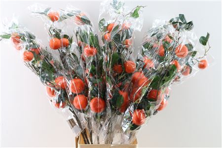 <h4>ARTIFICIAL CLEMENTINE PLANT ORANGE</h4>