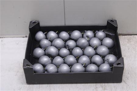 <h4>Deco Waxappel Zilver</h4>