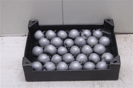 <h4>F-waxappel Zilver</h4>