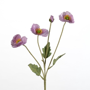 AF Papaver spr/4 fl L60cm l.pu