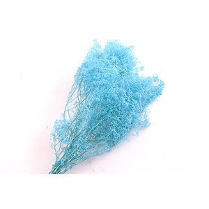 Gypsophila Preserved Blue