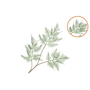 Silk Fern Asparagus Dark Green 87cm