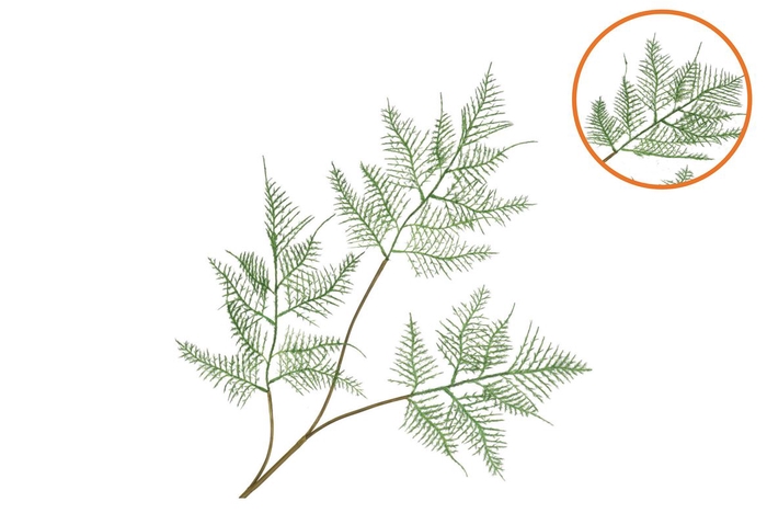<h4>Silk Fern Asparagus Dark Green 87cm</h4>