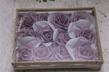 <h4>Wax Roos Lila</h4>