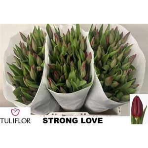 Tu En Strong Love