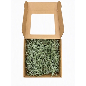Wax Asparagus Green Olive P Box