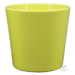 POT ORCHIDEE D13,5 H12,5 APPLEGREEN