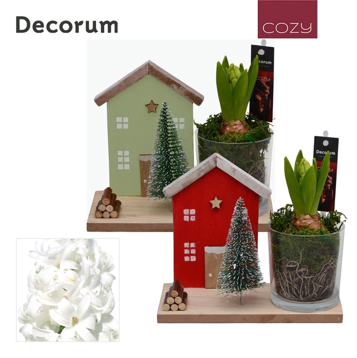 <h4>Hyacint Kersthuisje HL15256WP [COZY]</h4>