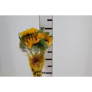 GIRASSOL 080 CM