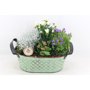 arr4 Outdoor PL - Zink old green ovaal