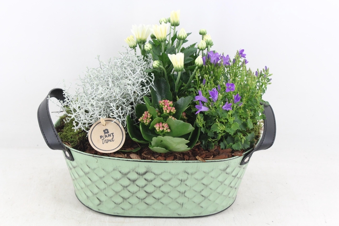 <h4>arr4 Outdoor PL - Zink old green ovaal</h4>