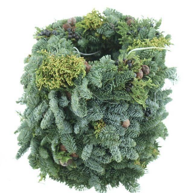 <h4>KRANS HALF GEBOND H%</h4>