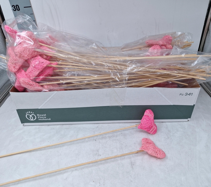 <h4>BIJSTEKERS H%</h4>