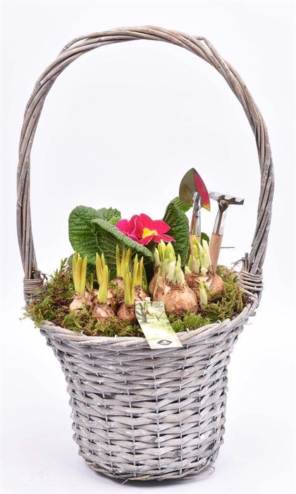 <h4>Wilg hengselmand 24 cm</h4>