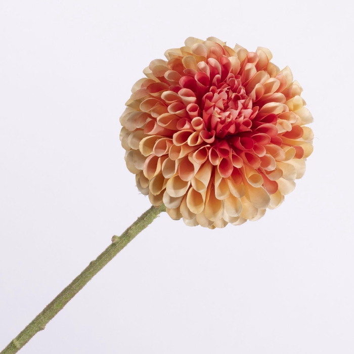 Dahlia Peach Pink FL440337PPK